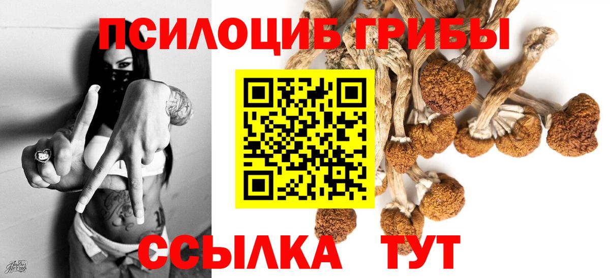 Благовещенск  Псилоцибиновые грибы GOLDEN TEACHER  Вход с VPN 